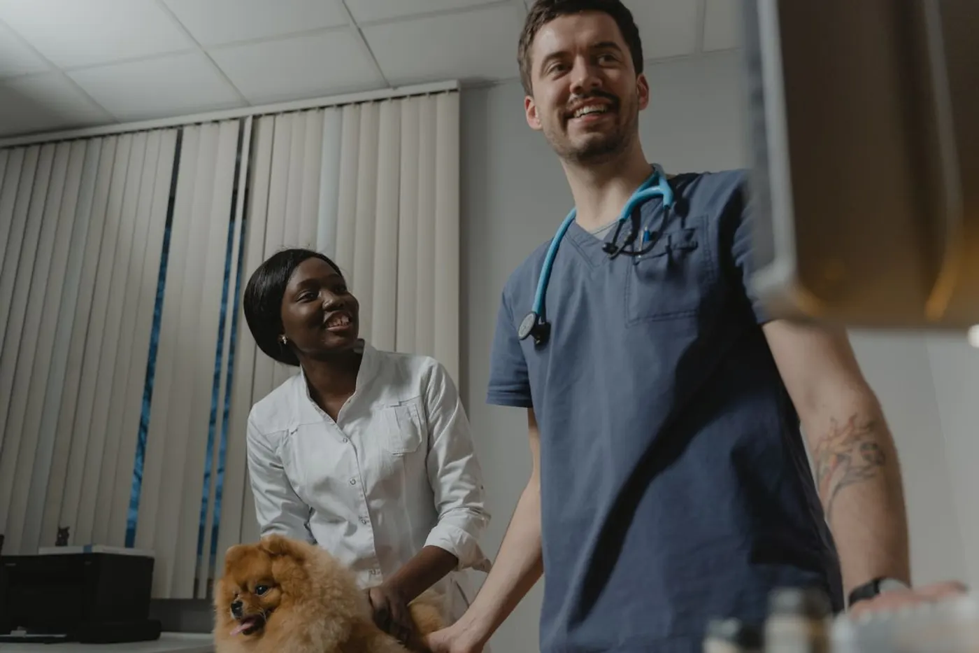 A veterinary care team smiling together with a small dog during a clinic visit